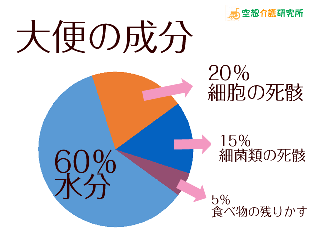 正常な大便（うんち・うんこ）　成分・色・太さ・平均排便量