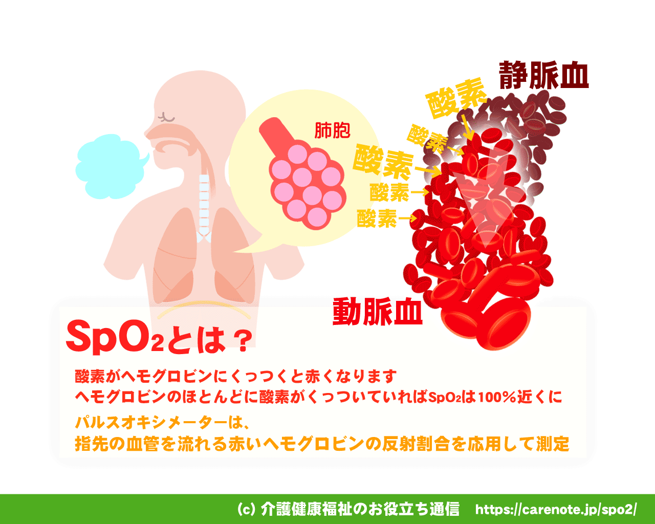 SpO2とは？ 正常値や危険値・低下の理由、パルスオキシメーターの仕組み