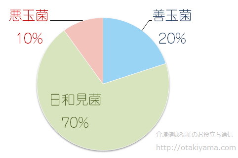 腸内環境改善　免疫に善玉菌とオリゴ糖が良い理由