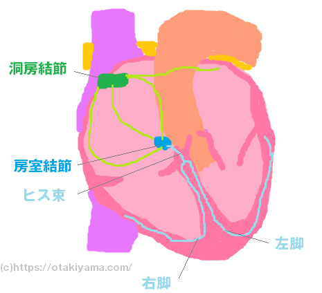 不整脈の治療法と2種類の徐脈（洞不全症候群、房室ブロック）