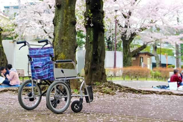 春から初夏の介護ケア　変化の季節4月のポイント【薬剤師監修】