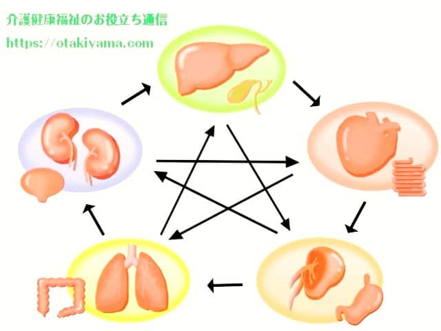 五臓六腑（ごぞうろっぷ） 漢方薬 の考え方