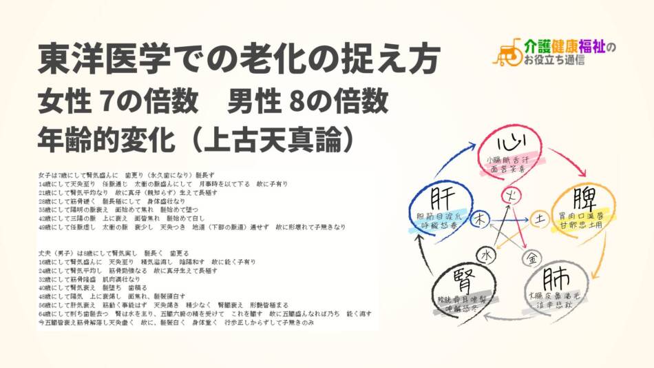 東洋医学での老化「上古天真論」7の倍数・8の倍数の年齢的変化